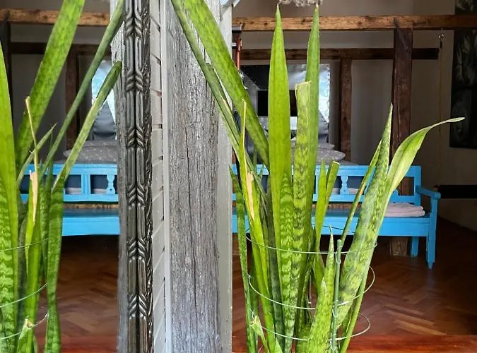 A La Διαμέρισμα Κλουζ-Ναπόκα